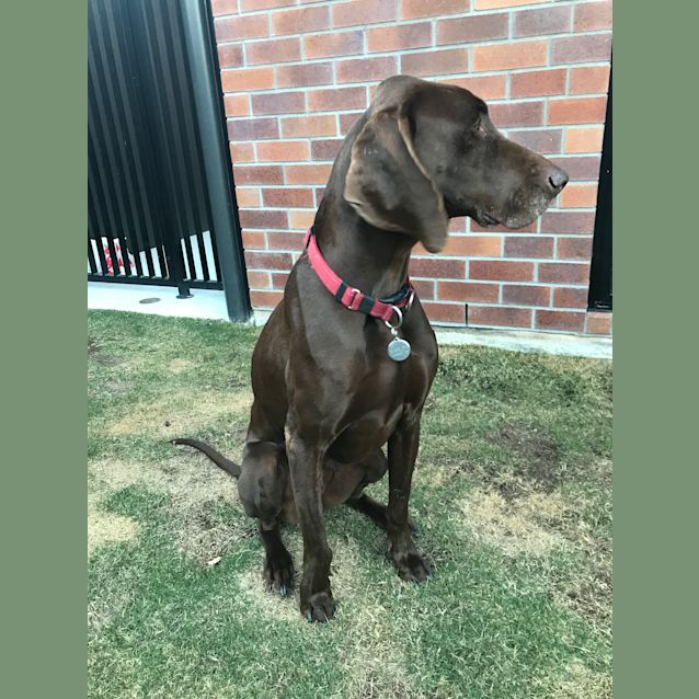Photo of Barley 