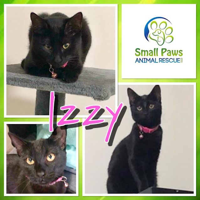 Photo of Izzy