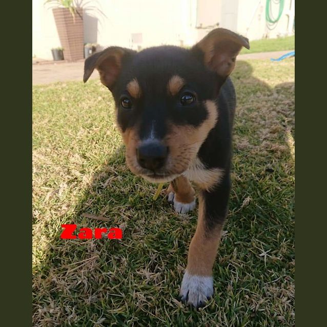 Photo of Zara