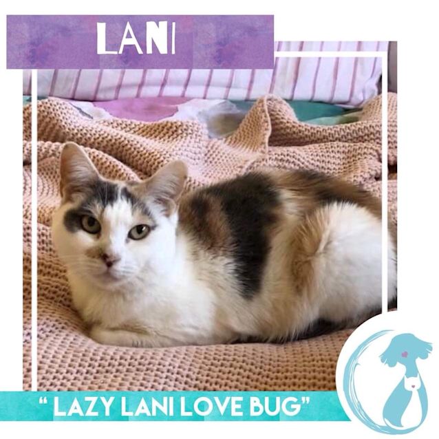 Photo of Lani