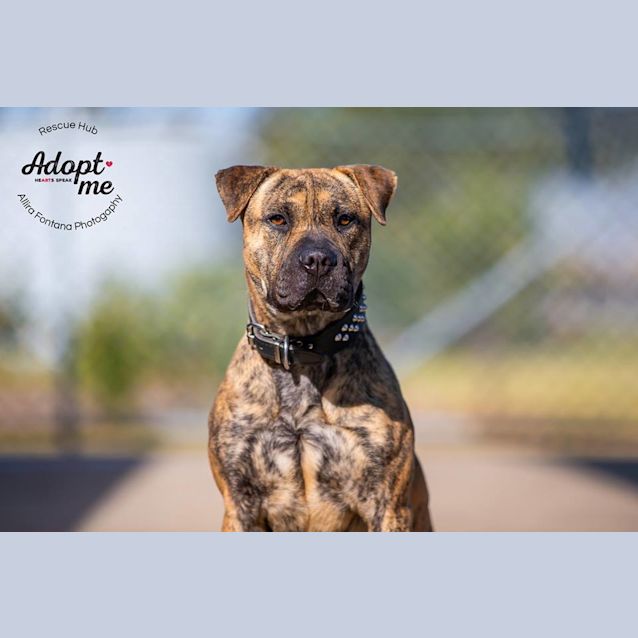 Photo of Lucy (Thsc 70) 