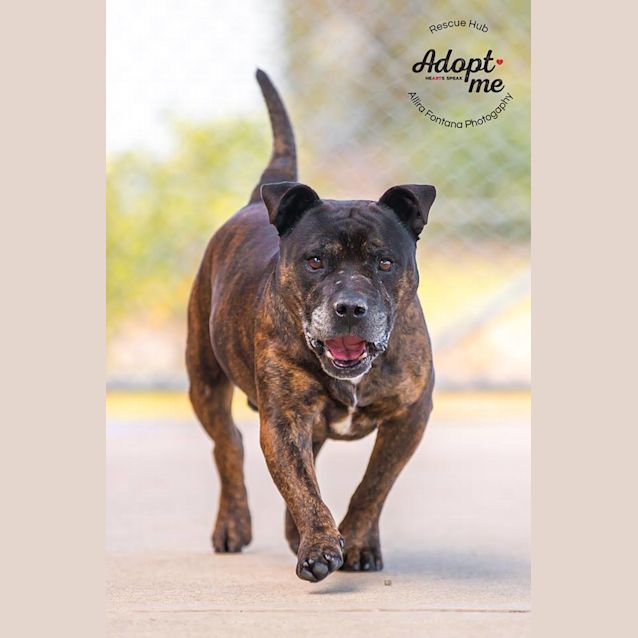 Photo of Bert (Pcc 431)