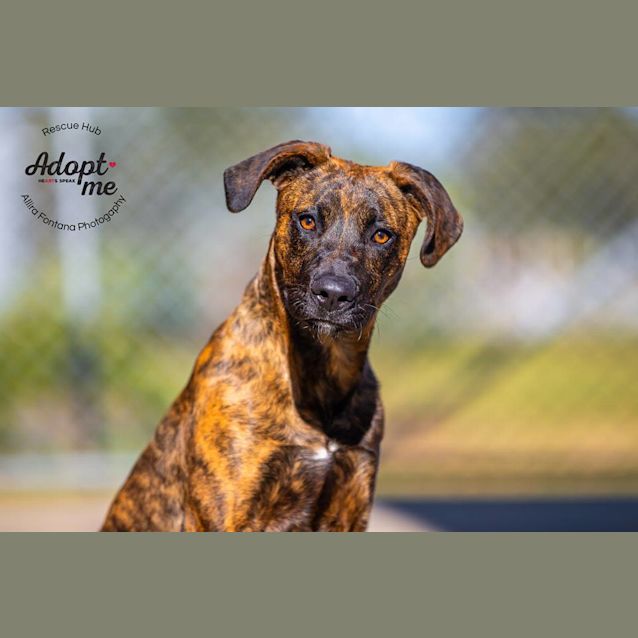 Photo of Saxton (Pcc 469)