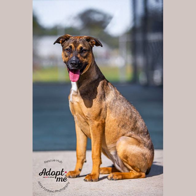 Photo of Julia (Pcc 481)