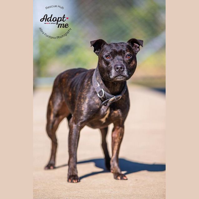 Photo of Jack (Pcc 473)