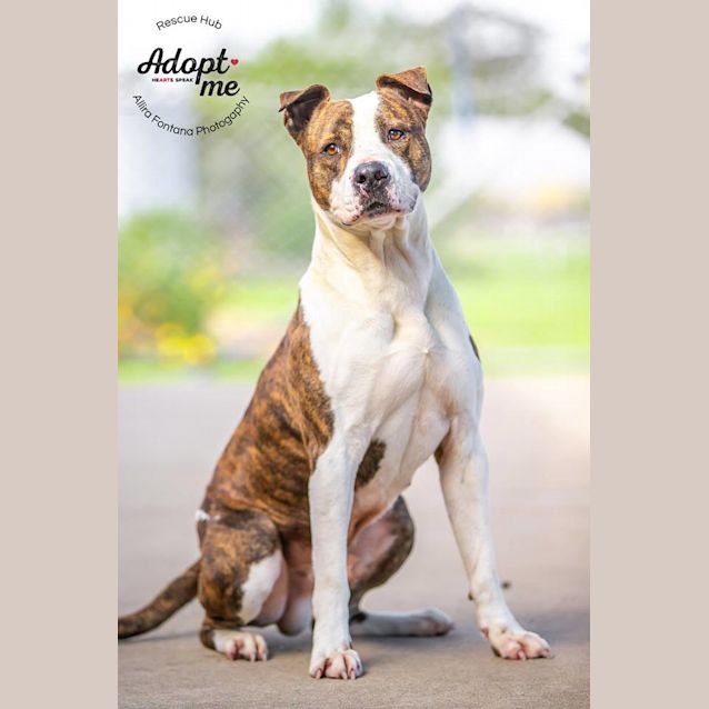 Photo of George (Pcc 379)