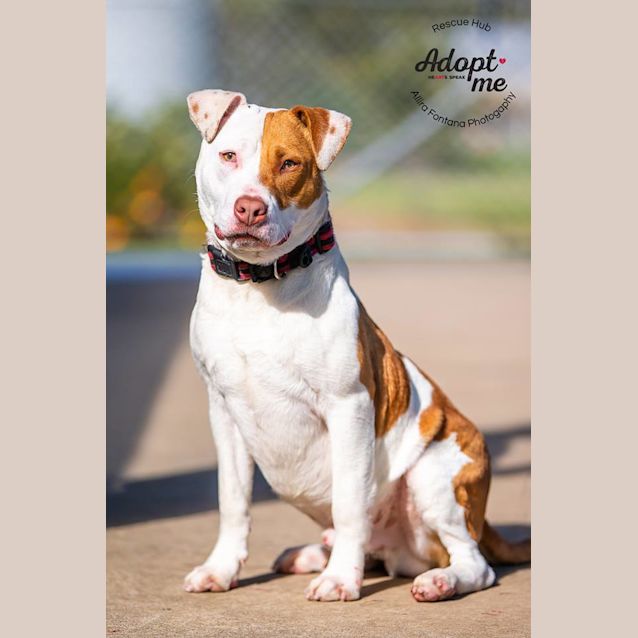 Photo of Connor (Pcc 405)