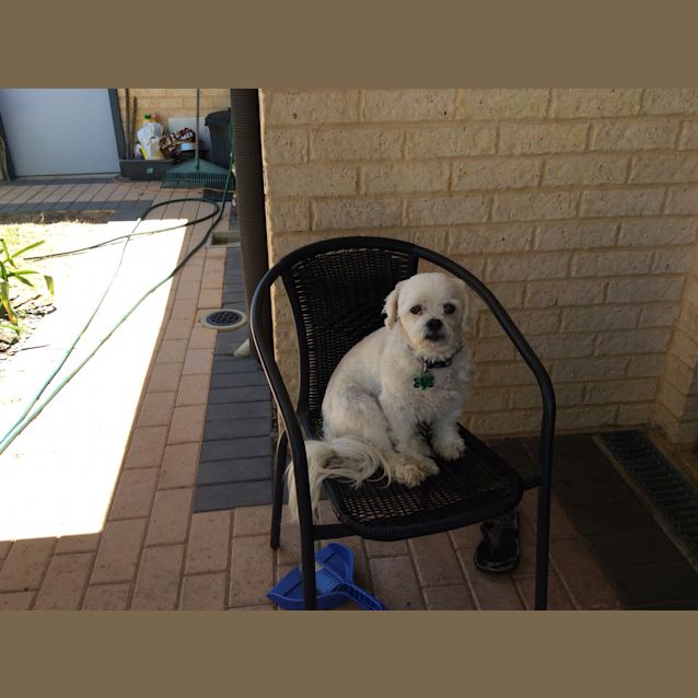 Photo of Lucy