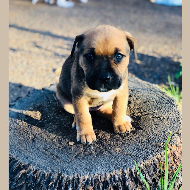 Photo of Gorgeous Betty! 