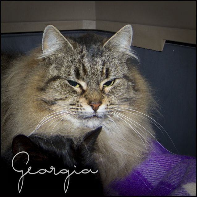 Photo of Georgia