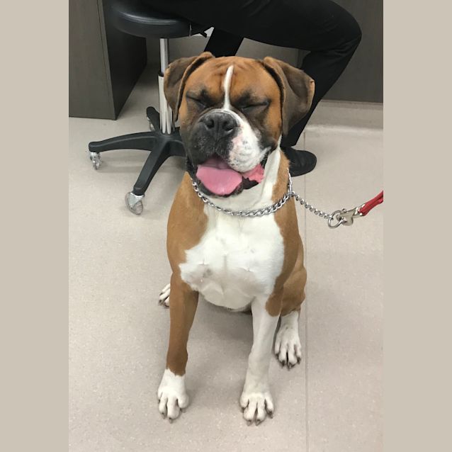 Photo of Dex