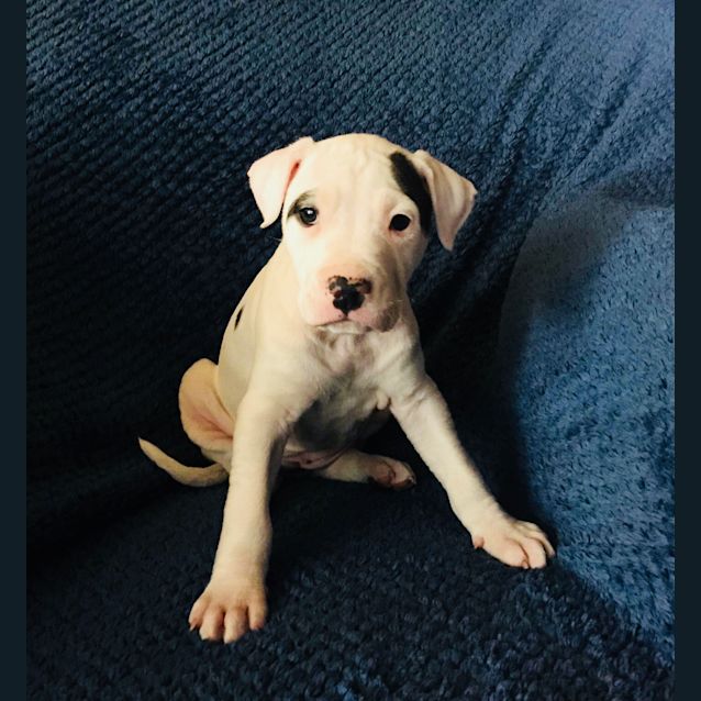 Photo of Gorgeous Ginny 😍