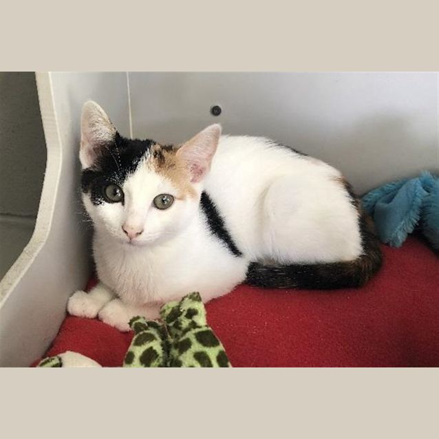 Photo of Mystique