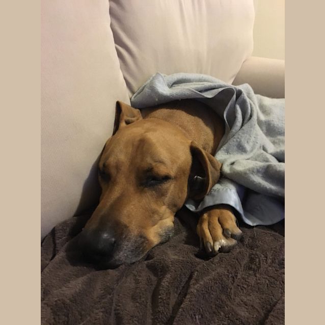 Photo of Tiny Dancer