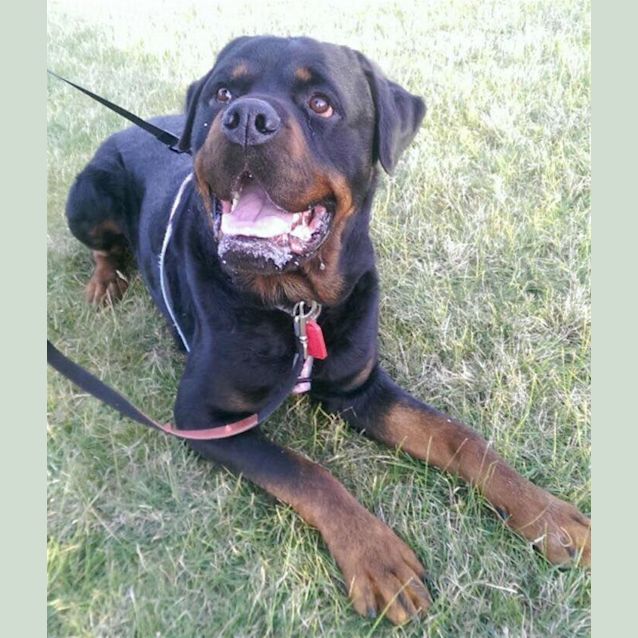 Photo of Arnie