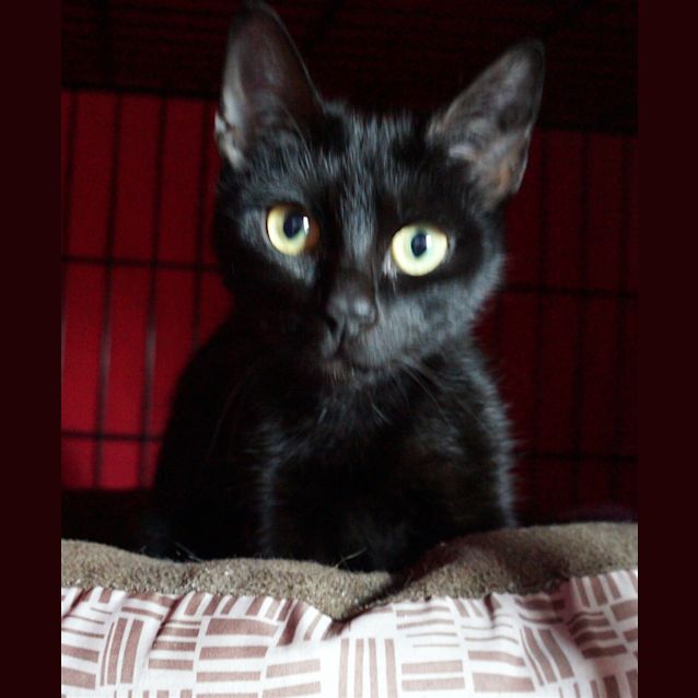 Photo of Sabrina