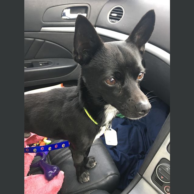 Photo of Sprout