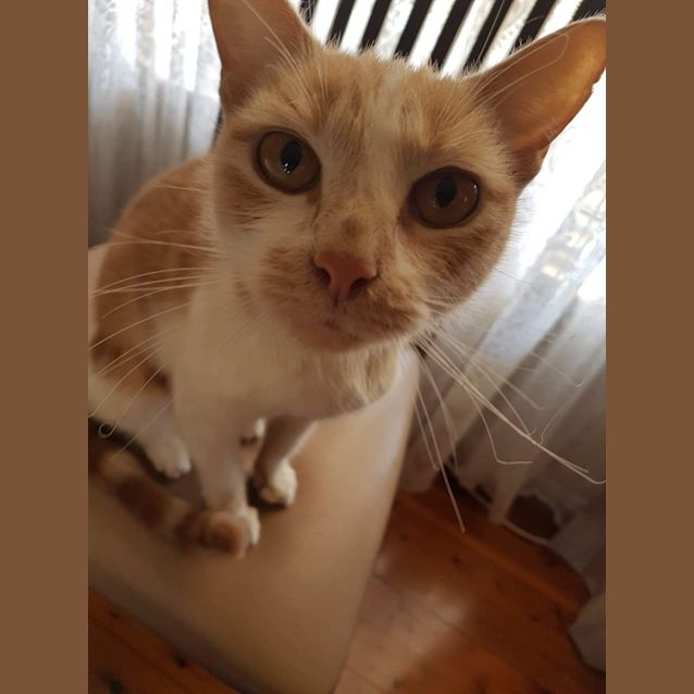 Photo of Elegant Ivy ❤️