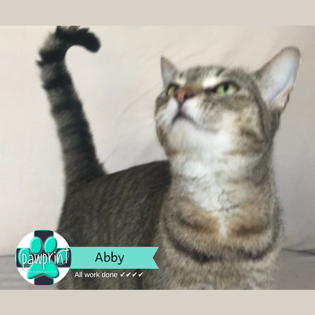 Photo of Abby