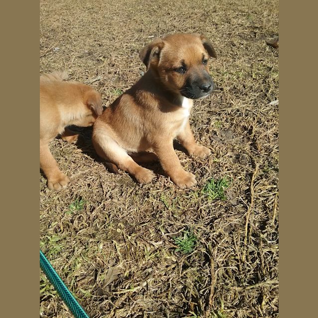 Photo of True Aussies 😀