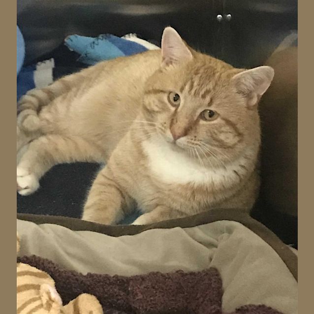Photo of Pat