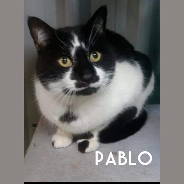 Photo of Pablo