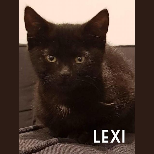 Photo of Lexi