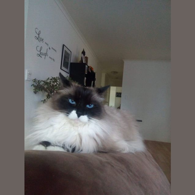 Photo of Moxi 