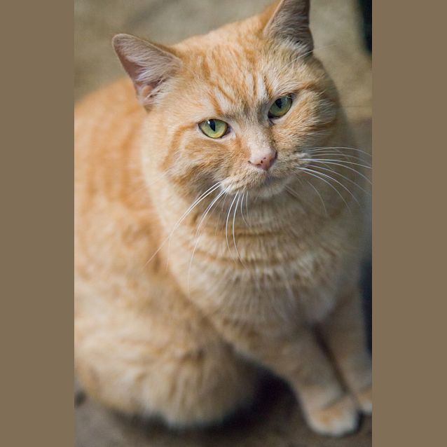 Photo of Miss Molly