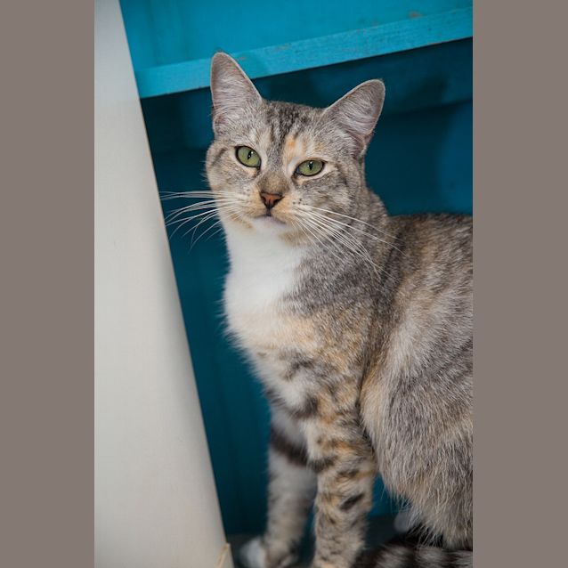 Photo of Noelene