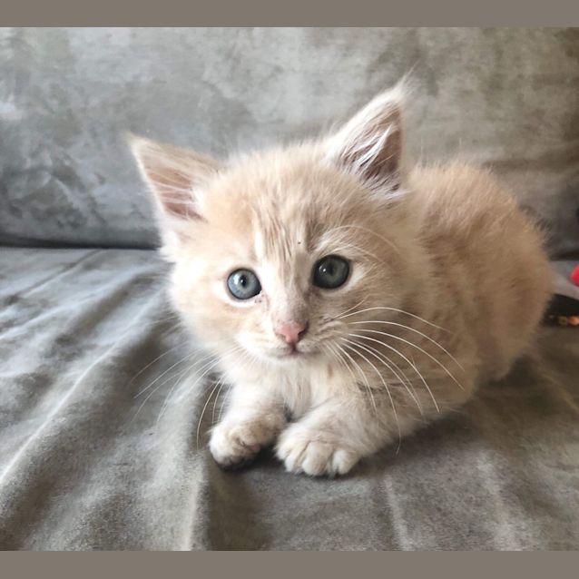 Photo of 😍 Oh Lenny! 😍