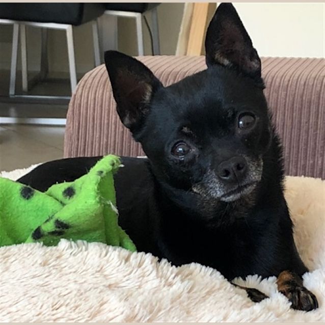 Photo of Betty