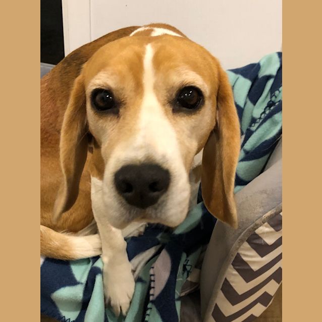 Photo of Sandy