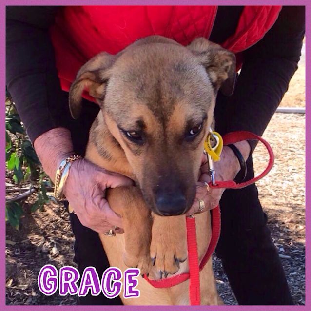 Photo of Grace