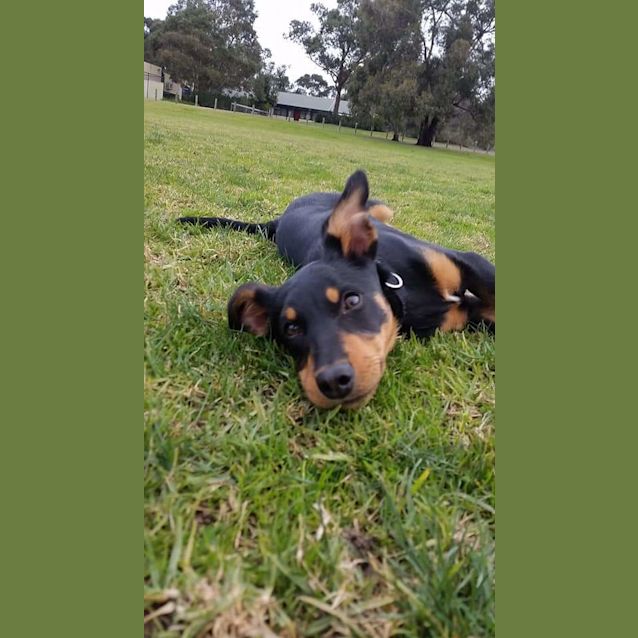 Photo of Bruce