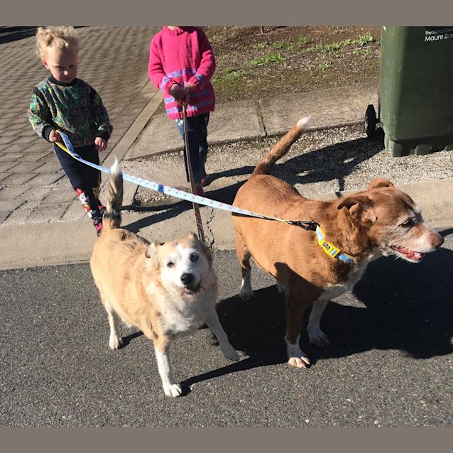 Photo of Bitsa &Turbo