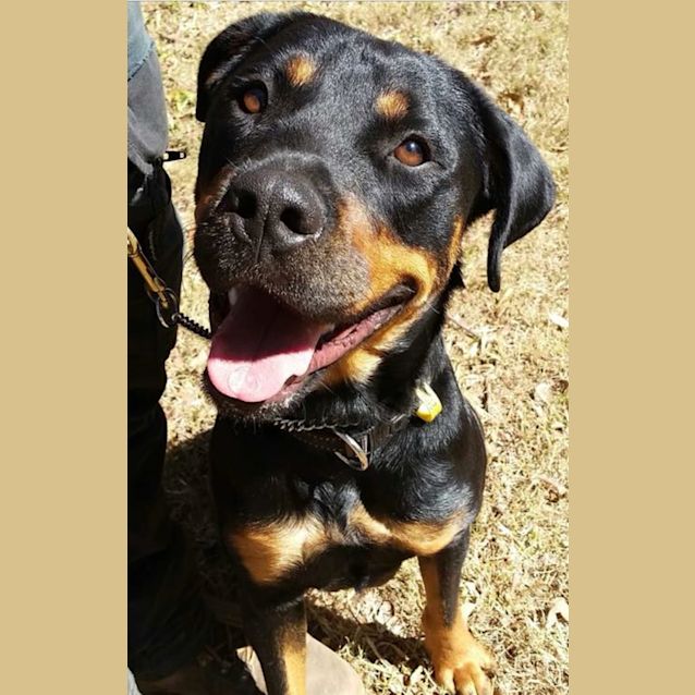 Photo of Stormy