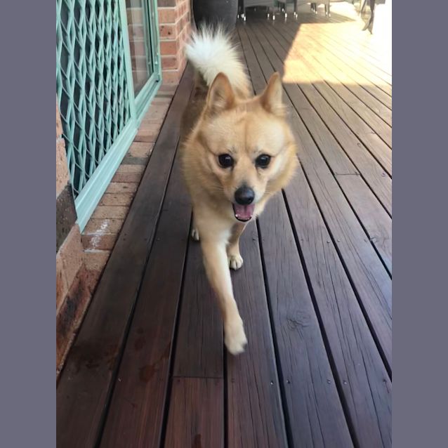 Photo of 😍😍 Theo😍😍