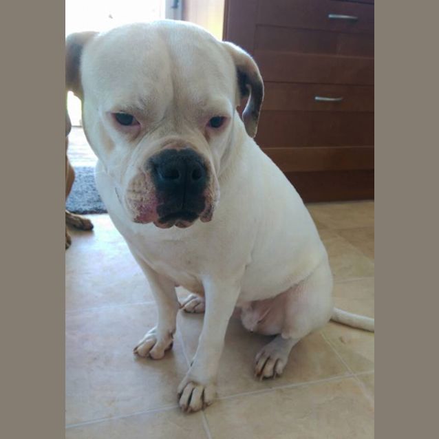 Photo of Lola