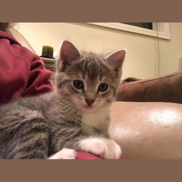 Photo of Bonnie