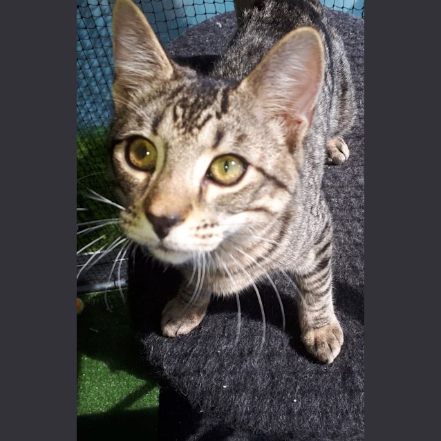 Photo of Tom @ Petstock Marsden Park