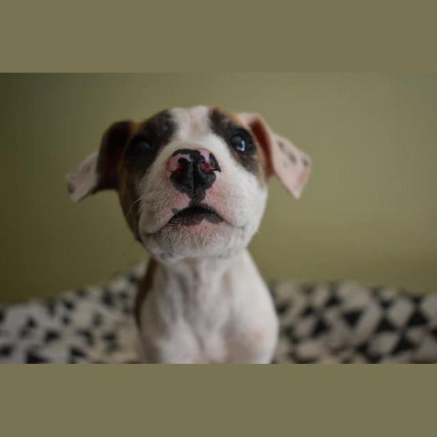 Photo of Eleanor (Ellie)