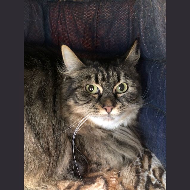 Photo of Indra