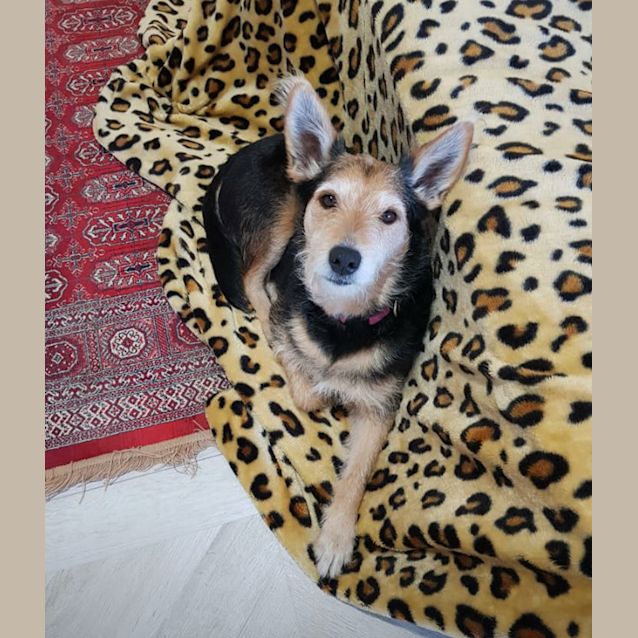 Photo of Milly