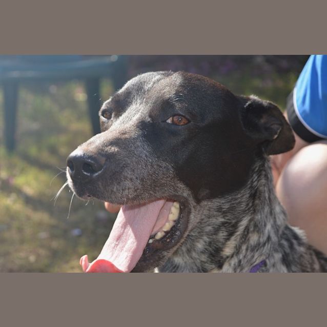 Photo of Neeka D3938