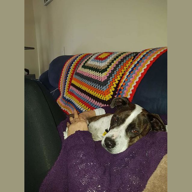 Photo of Denny