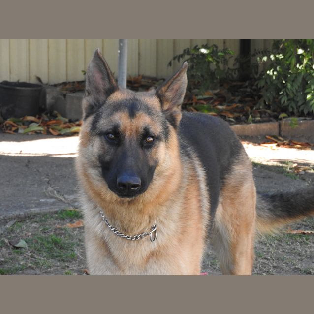 Photo of Karna   Meet And Greet Organised