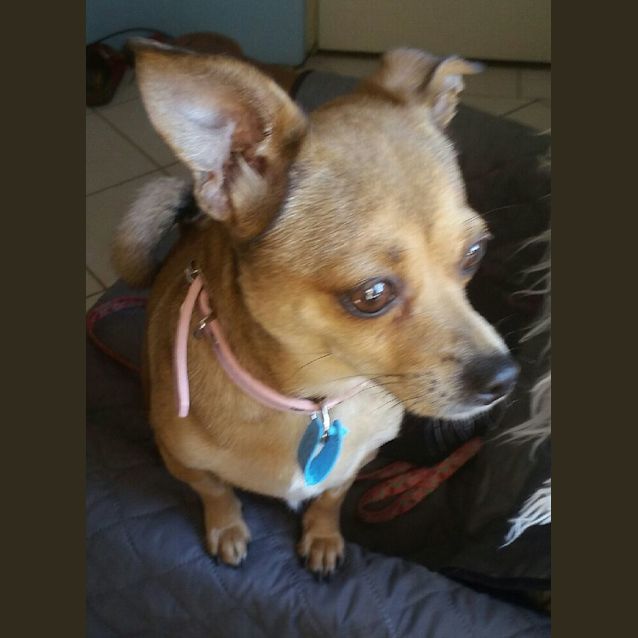Photo of Holly