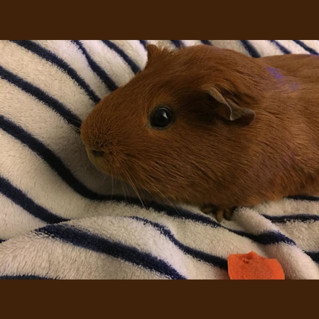 Photo of Eli