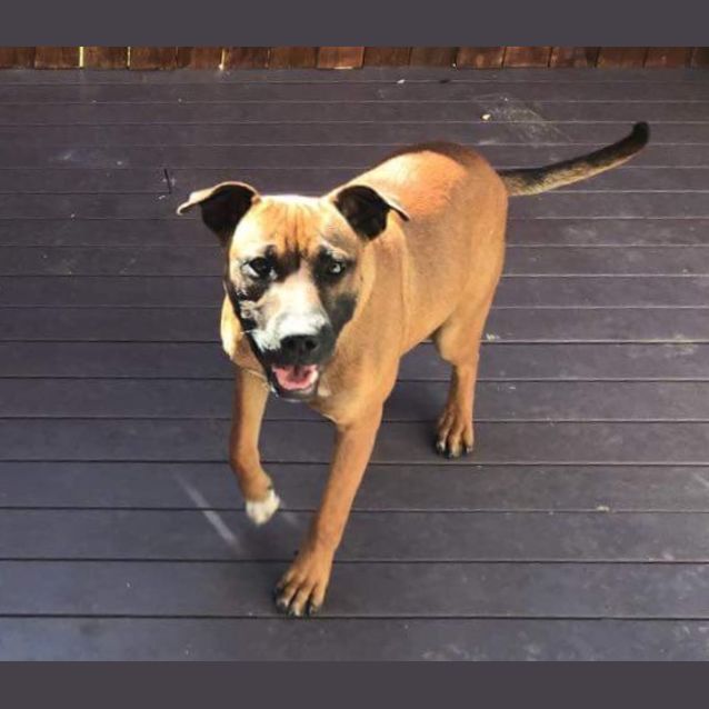 Photo of Benny 